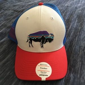 Patagonia Trucker Hat,  Never Worn